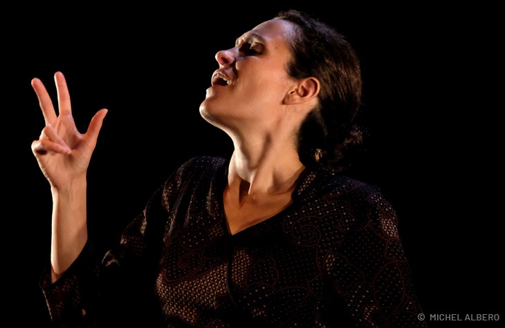 Sabrina Chézeau Audace du papillon